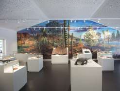 Ausstellungserweiterung Geopark Karnische Alpen